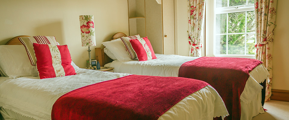 Penyrorsedd Farm Bedroom Twin